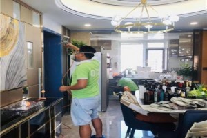 鐵嶺除甲醛 守護(hù)健康家居，科學(xué)治理刻不容緩